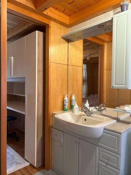 A Hilarious Hideaway In Roveredo Apartment Екстериор снимка