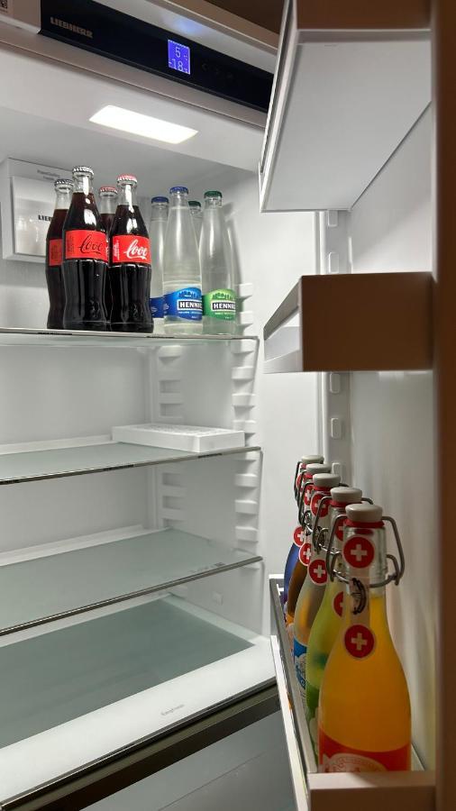A Hilarious Hideaway In Roveredo Apartment Екстериор снимка