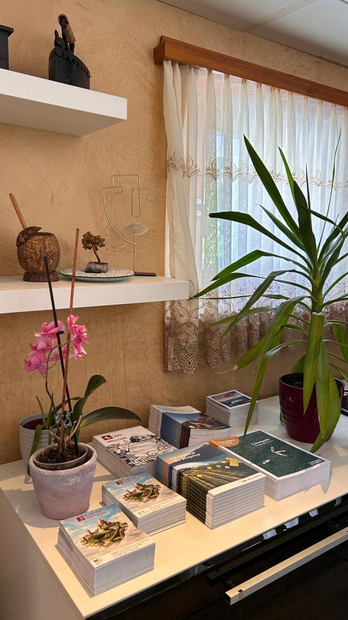 A Hilarious Hideaway In Roveredo Apartment Екстериор снимка